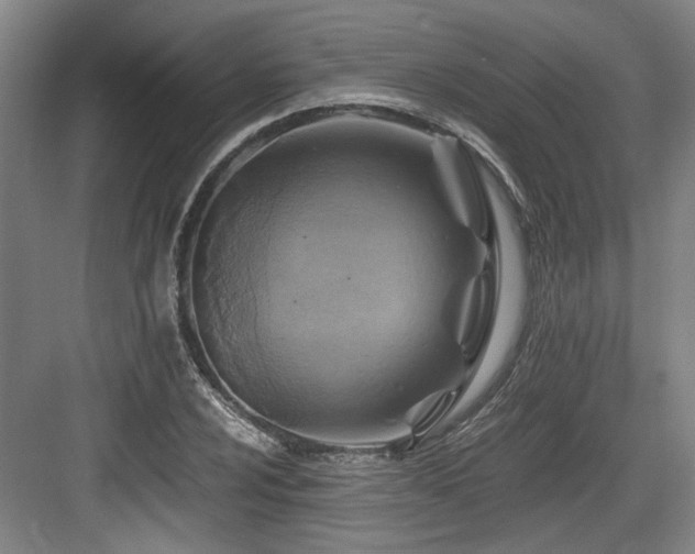 X0000084031024200702161429