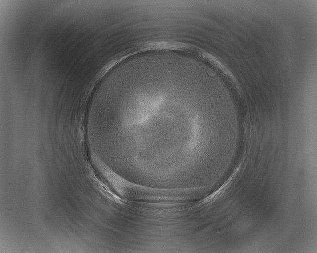 X0000084031025200702161429