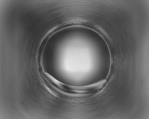 X0000084031026200702161429