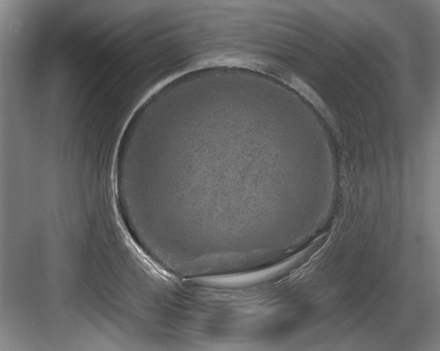 X0000084031028200702161429