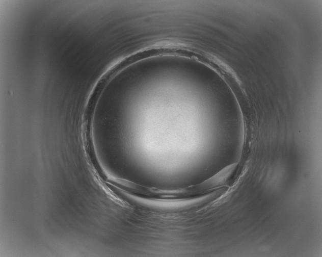 X0000084031029200702161429