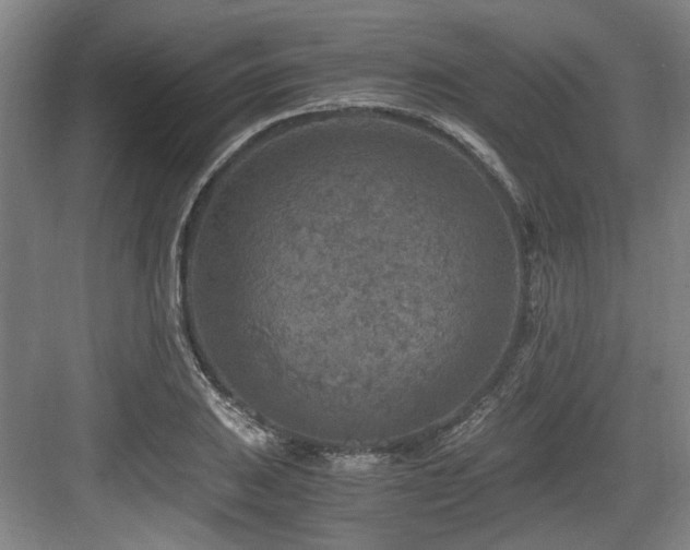 X0000084031031200702161429