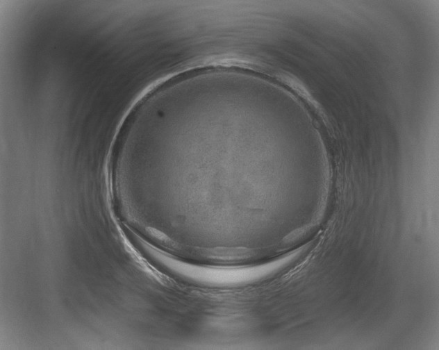 X0000084031032200702161429