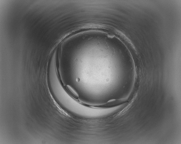 X0000084031033200702161429