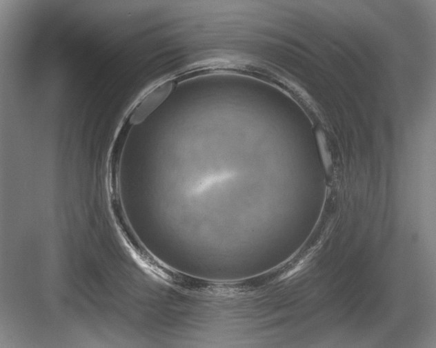 X0000084031034200702161429