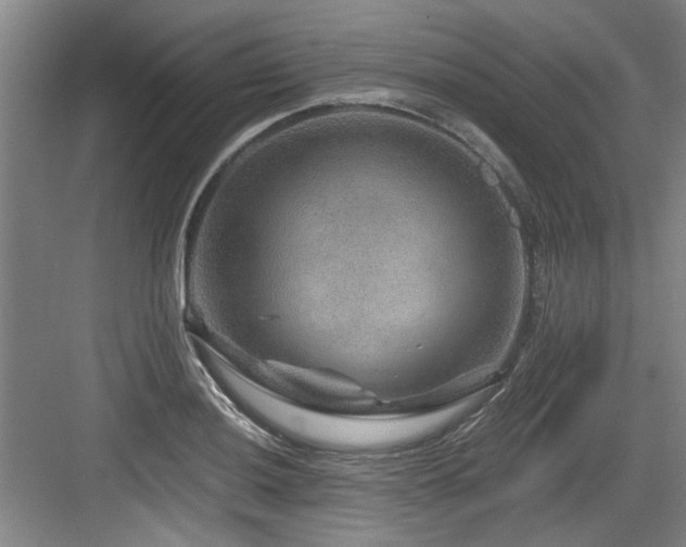 X0000084031036200702161429