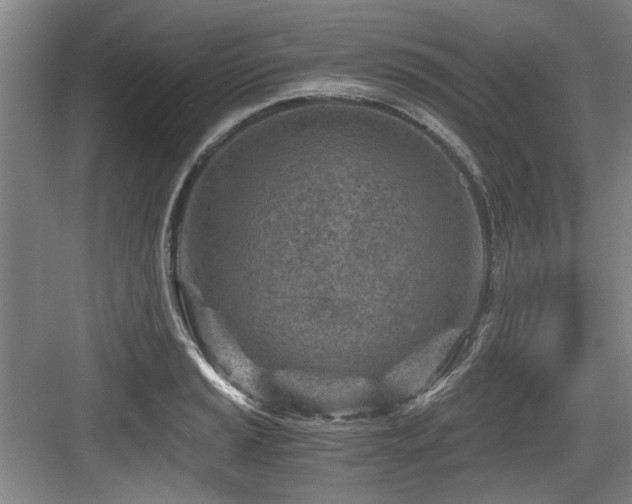 X0000084031037200702161429