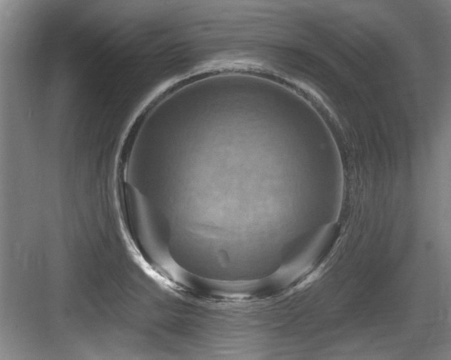 X0000084031038200702161429