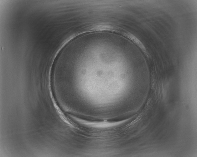 X0000084031039200702161429