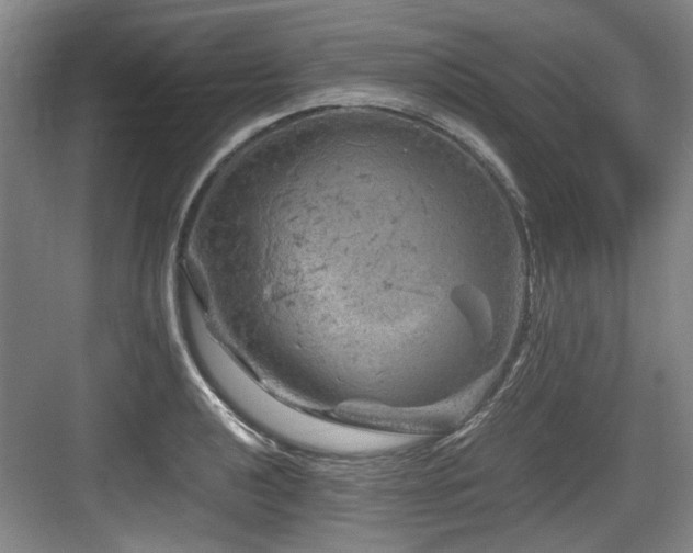 X0000084031040200702161429