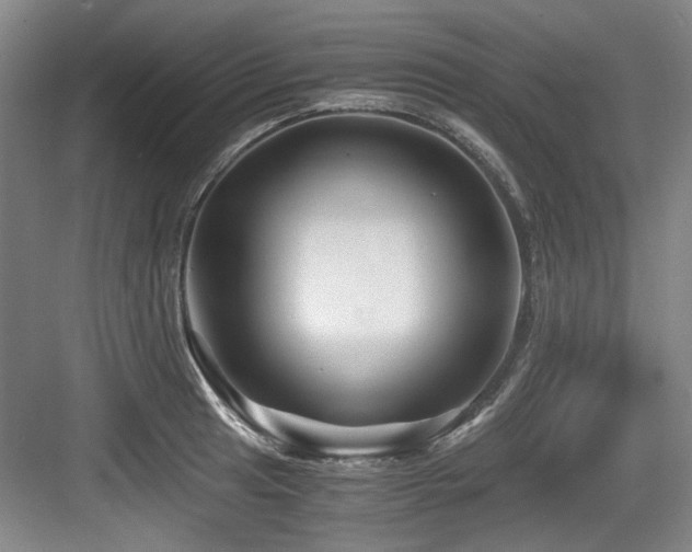 X0000084031041200702161429