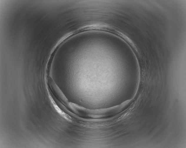 X0000084031042200702161429