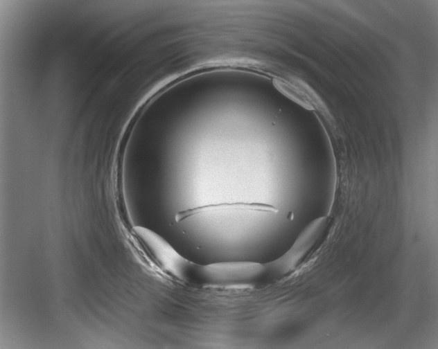 X0000084031044200702161429