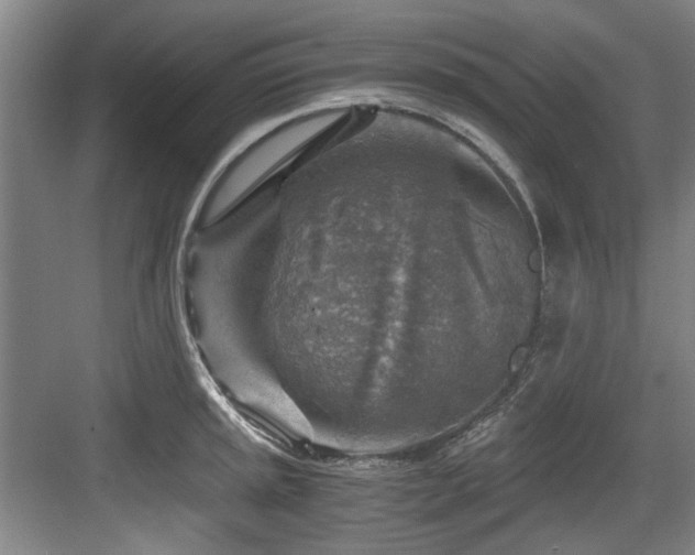 X0000084031045200702161429