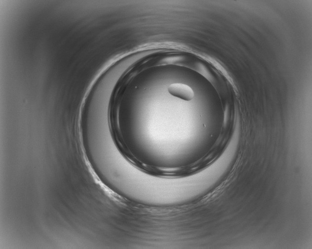 X0000084031046200702161429