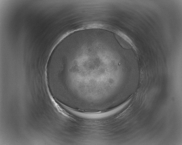 X0000084031047200702161429