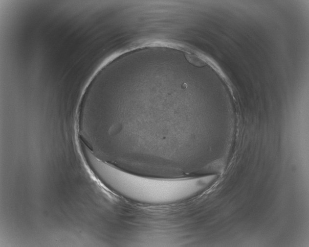 X0000084031048200702161429