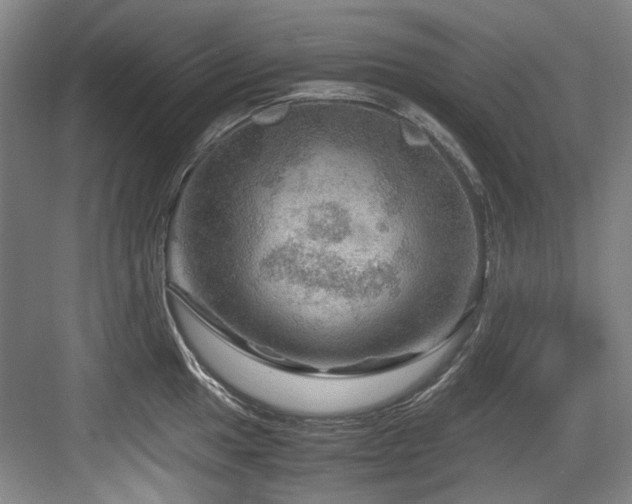 X0000084031049200702161429