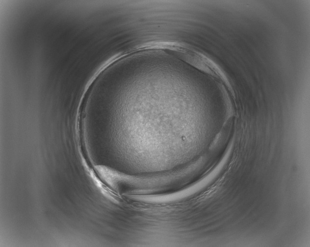 X0000084031050200702161429