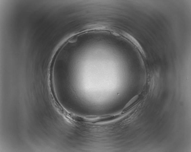 X0000084031051200702161429