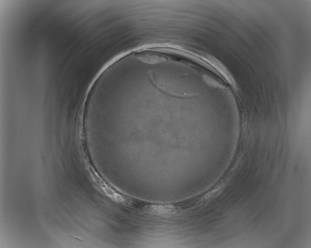 X0000084031052200702161429