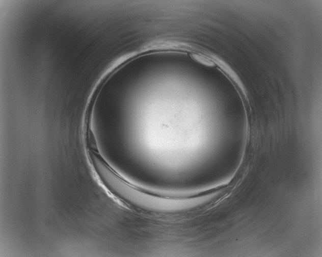 X0000084031053200702161429