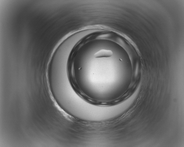 X0000084031054200702161429