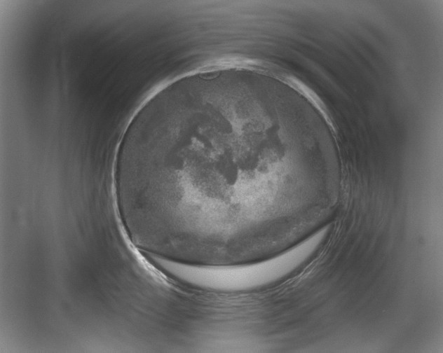 X0000084031055200702161430