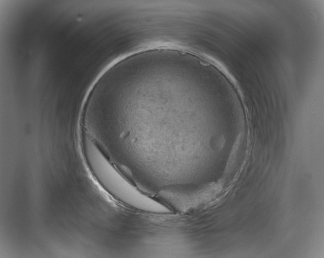 X0000084031056200702161430