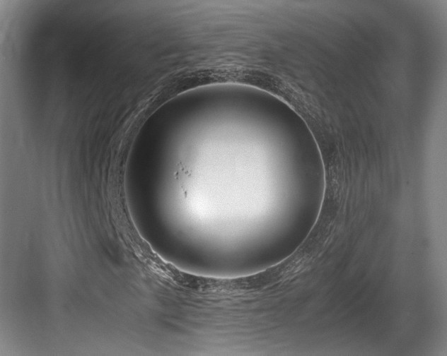 X0000084031057200702161429