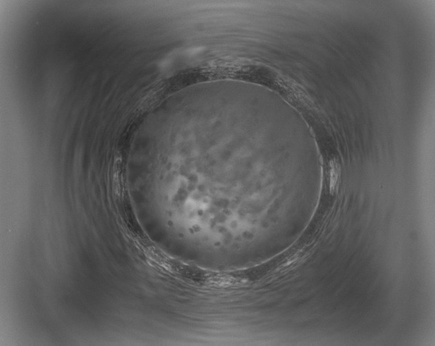 X0000084031059200702161429