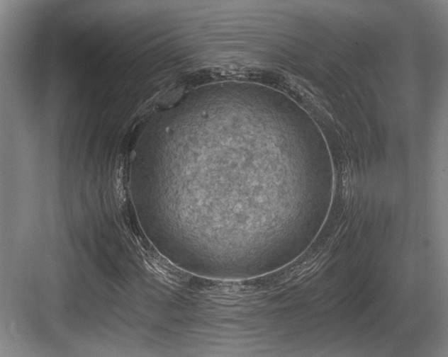 X0000084031060200702161429