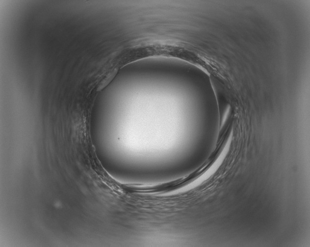 X0000084031061200702161429