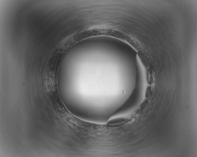 X0000084031062200702161429