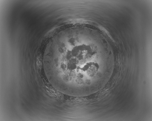 X0000084031063200702161429