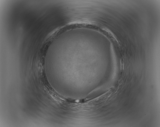 X0000084031064200702161429