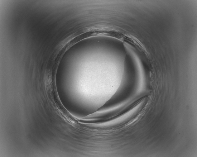 X0000084031065200702161429