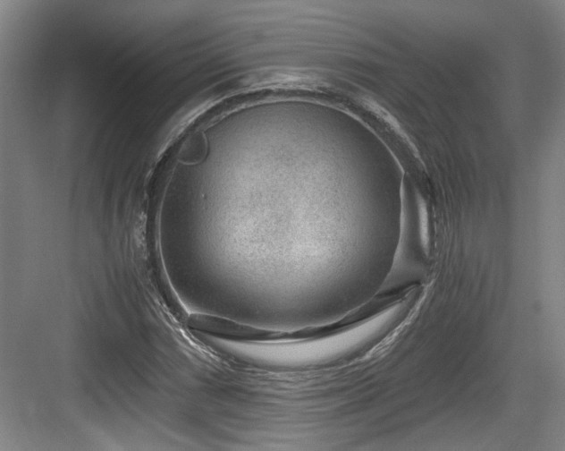 X0000084031066200702161429