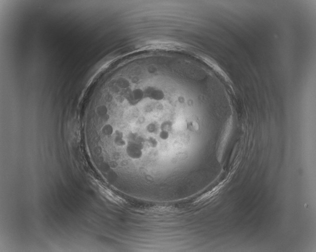 X0000084031067200702161429