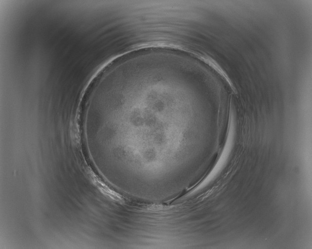 X0000084031068200702161429