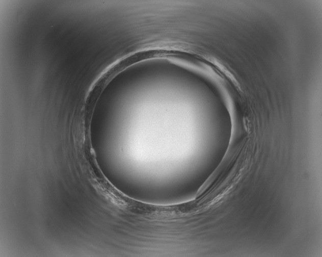 X0000084031069200702161429