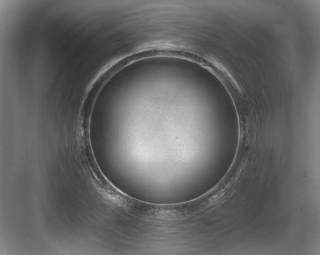 X0000084031070200702161429