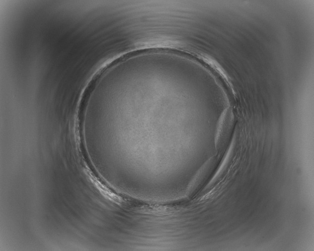 X0000084031072200702161428