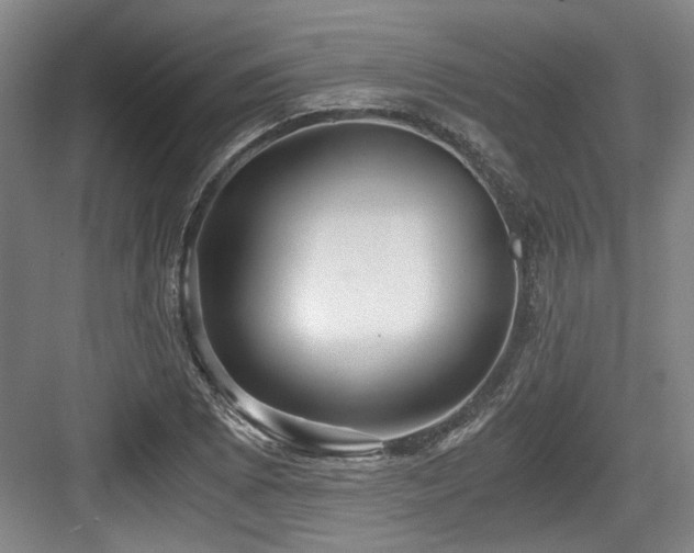 X0000084031073200702161428