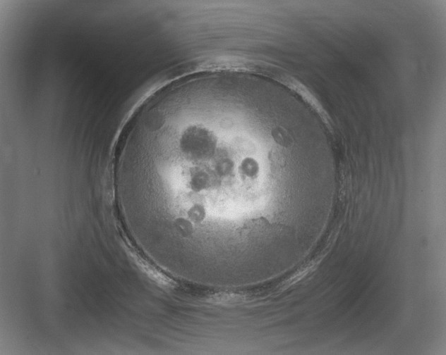 X0000084031075200702161428