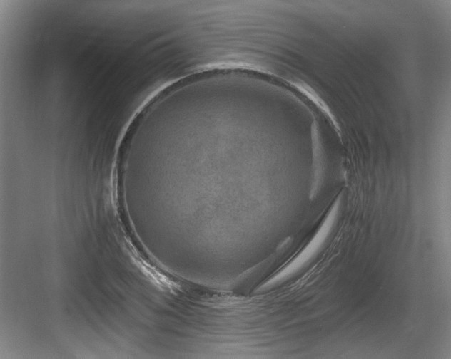 X0000084031076200702161428