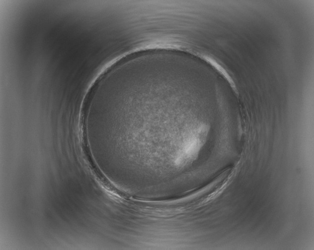 X0000084031077200702161428