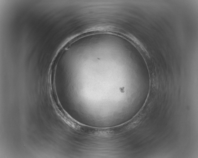 X0000084031078200702161428