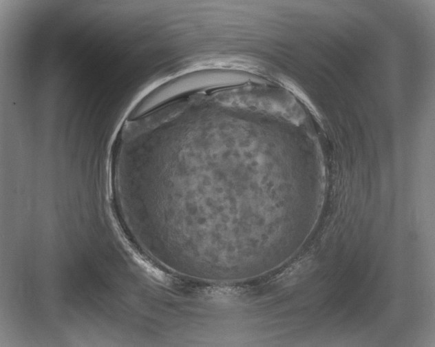 X0000084031079200702161428