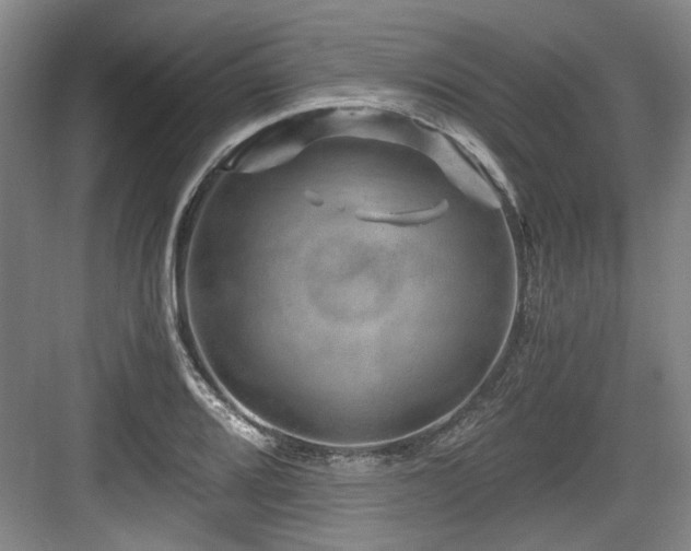 X0000084031080200702161428